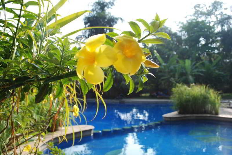 Photo of Zostel Goa (Anjuna), 2-star hotel in Anjuna