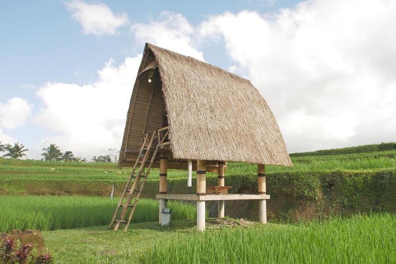 Swaha Retreat & Eco Park Ubud, Singapore