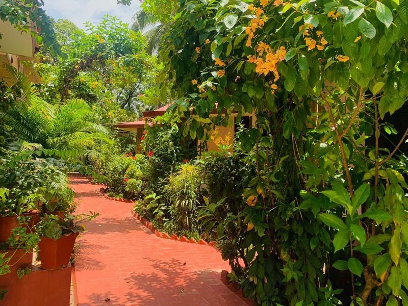 Photo of Harbor Court, Vagator, 3-star hotel in Vagator