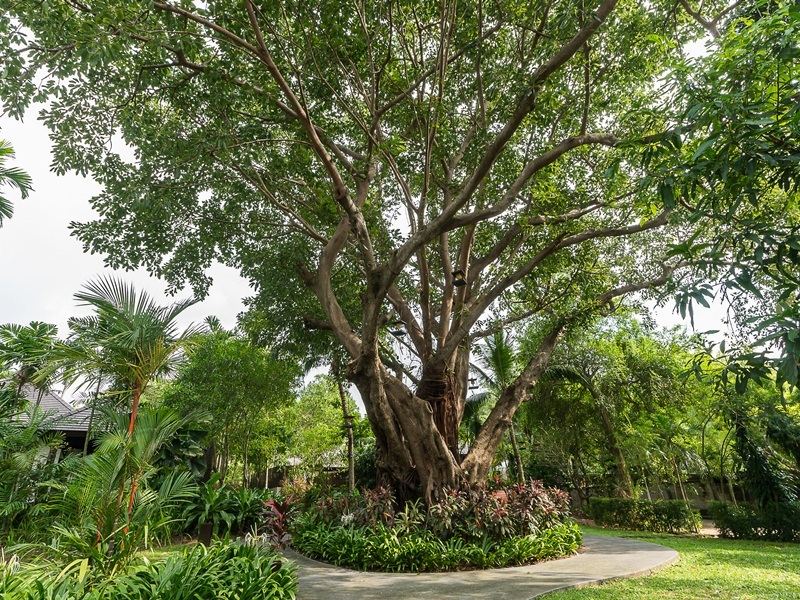 Photo of Sea Sand Sun Resort and Villas, 5-star hotel in Pattaya (and vicinity)
