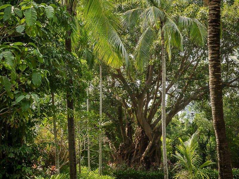 Photo of Sea Sand Sun Resort and Villas, 5-star hotel in Pattaya (and vicinity)