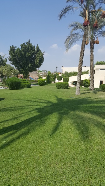 Photo of Pyramids Hotel, 4-star hotel in Al Haram