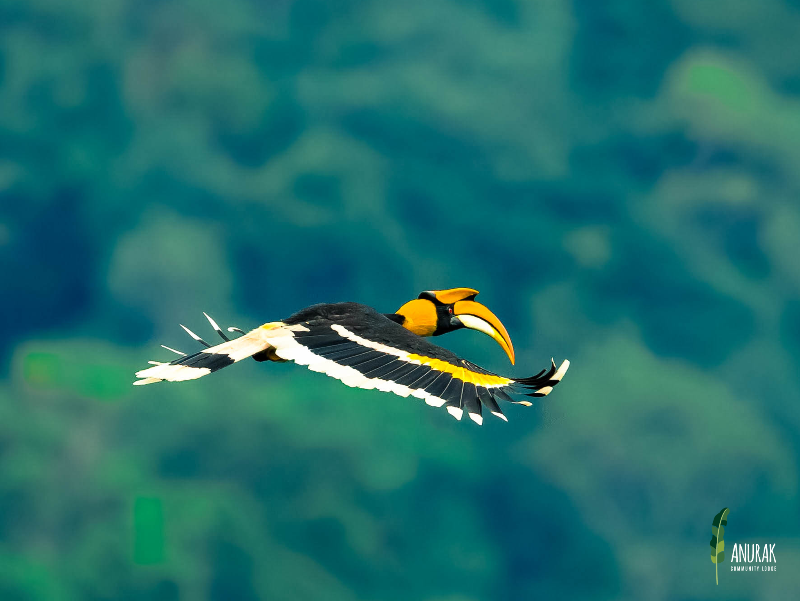 Photo of Anurak Community Lodge, 3-star hotel in Khlong Sok