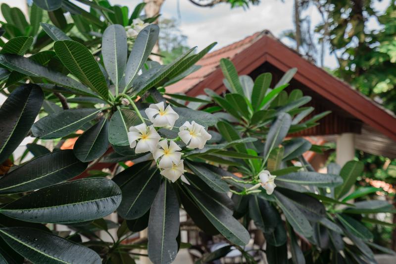 Photo of Bamboo Resort, 3-star hotel in Khanom