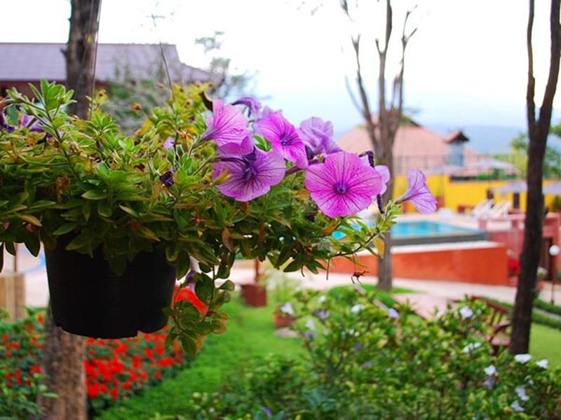 Photo of Insda Wellness Resort, 4-star hotel in Chiang Mai Province