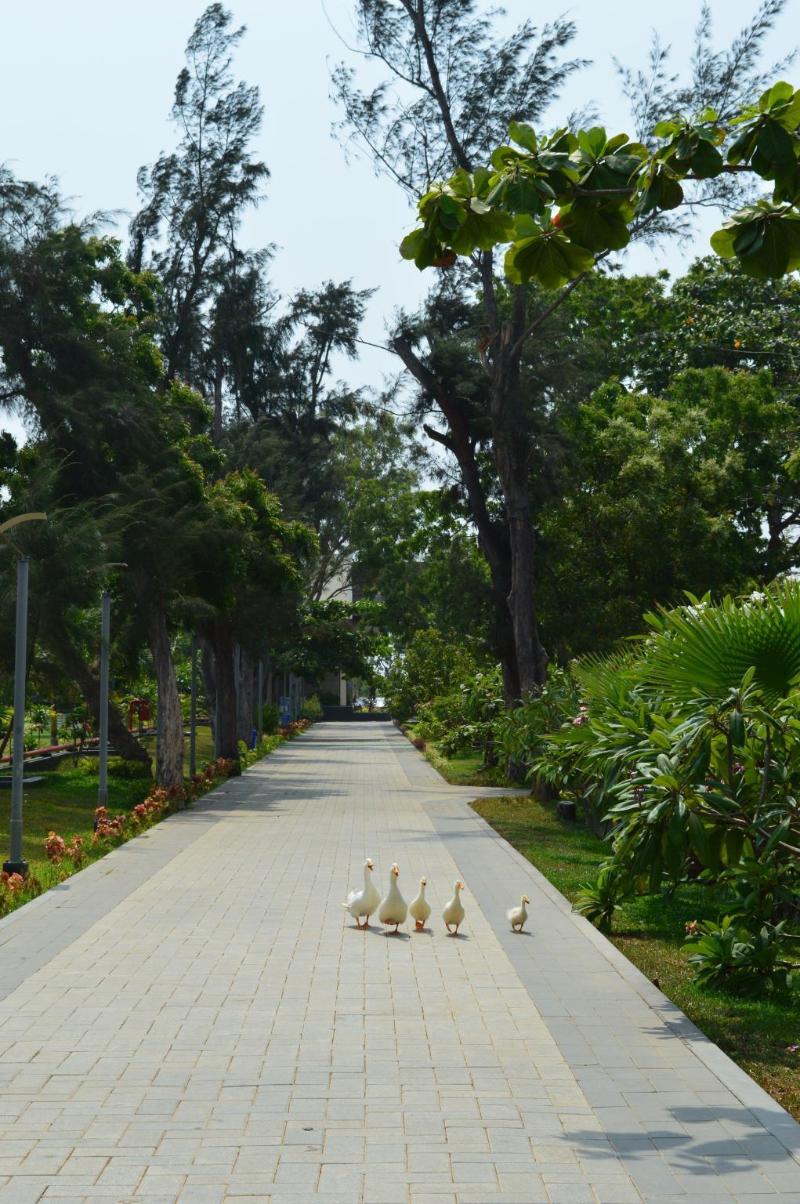 Photo of Welcomhotel by ITC Hotels, Kences Palm Beach, Mamallapuram, 5-star hotel in Chennai (and vicinity)