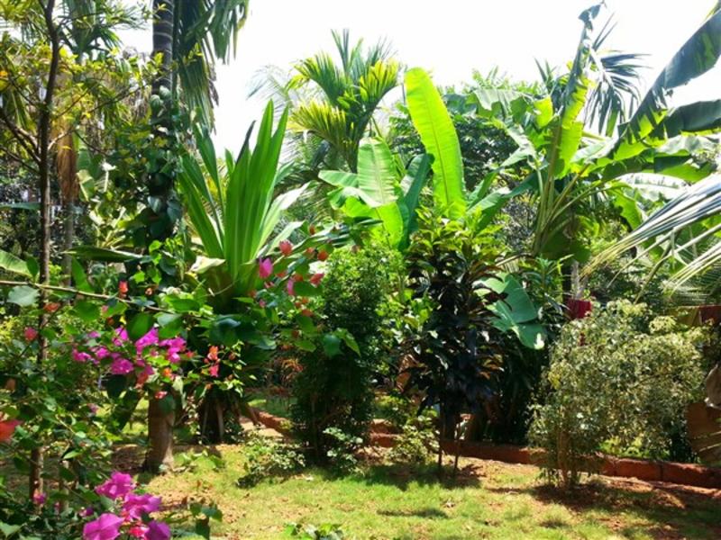 Photo of Namaste Yoga Farm, 4-star hotel in Gokarna
