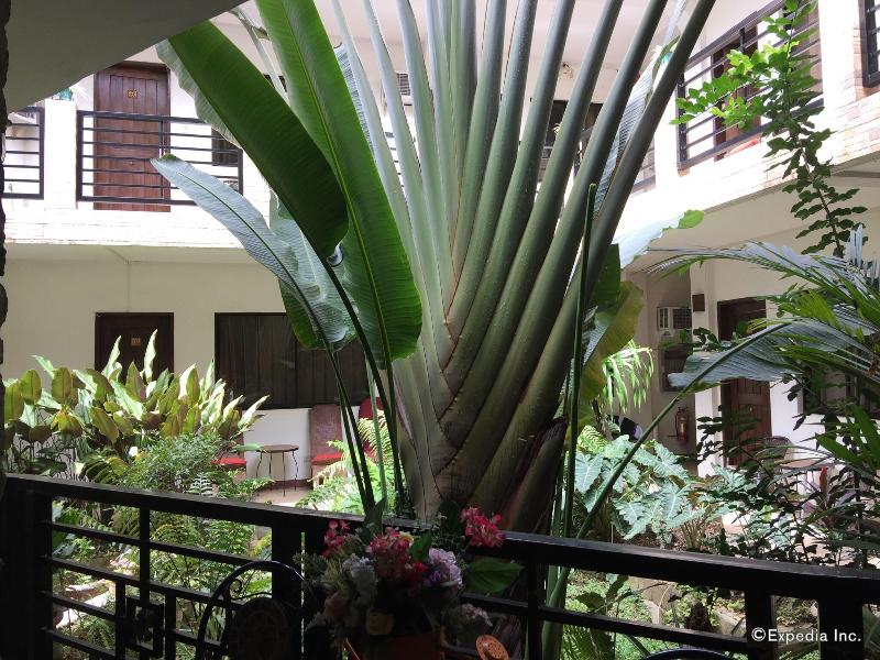 Photo of Balaibinda Lodge, 3-star hotel in Coron