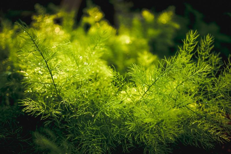 Photo of Nest by Sa-ngob, 3-star hotel in Bangkok (and vicinity)