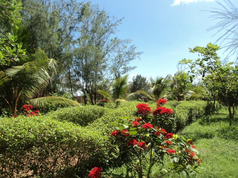 Photo of Lotus an Eco Resort Konark, 3-star hotel in Puri