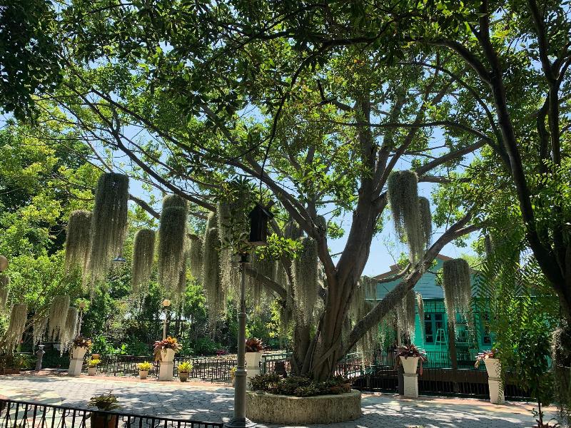 Photo of Muaan Resort, 3-star hotel in Suphan Buri
