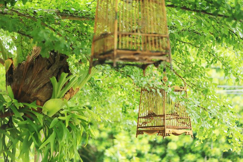 Photo of Viva Residence hotel in Bangkok (and vicinity)