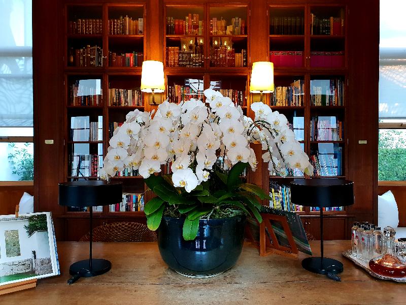 Photo of Rachamankha Hotel, 5-star hotel in Chiang Mai