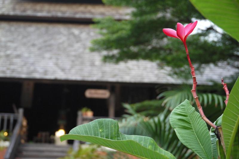 Photo of Rainforest Chiangmai Hotel, 3-star hotel in Chiang Mai