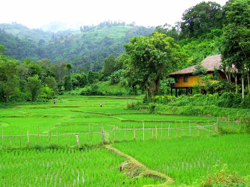 Photo of Hmong Hilltribe Lodge, 3-star hotel in Chiang Mai Province