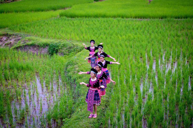 Photo of Hmong Hilltribe Lodge, 3-star hotel in Chiang Mai Province