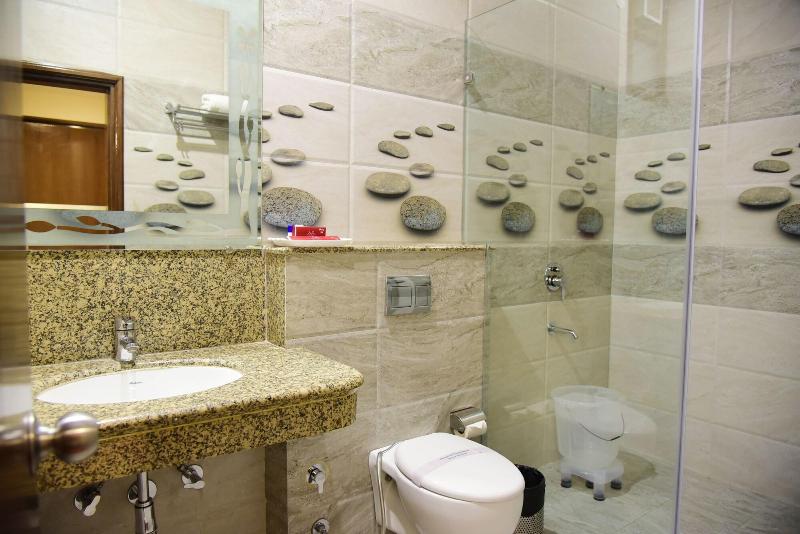 Photo of Hotel Swan, 3-star hotel in Chandigarh