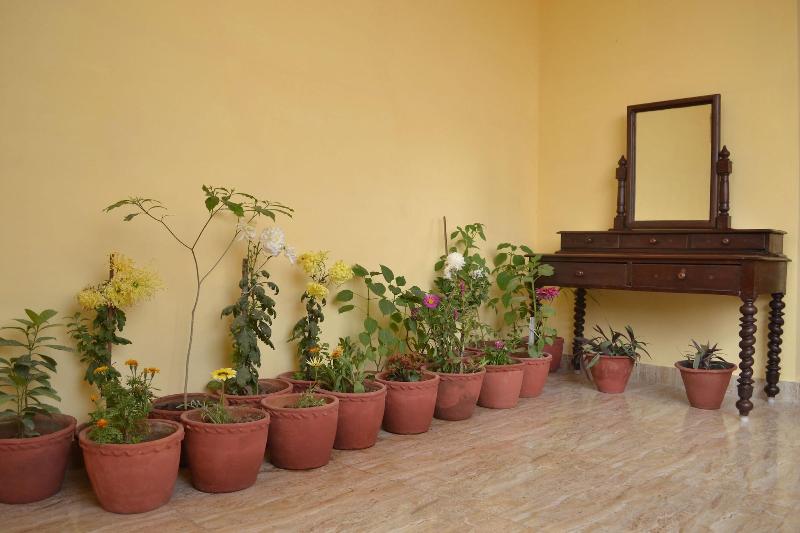 Photo of Tara Guest House, 3-star hotel in Varanasi