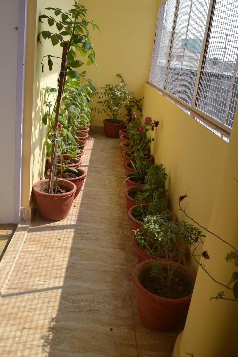 Photo of Tara Guest House, 3-star hotel in Varanasi