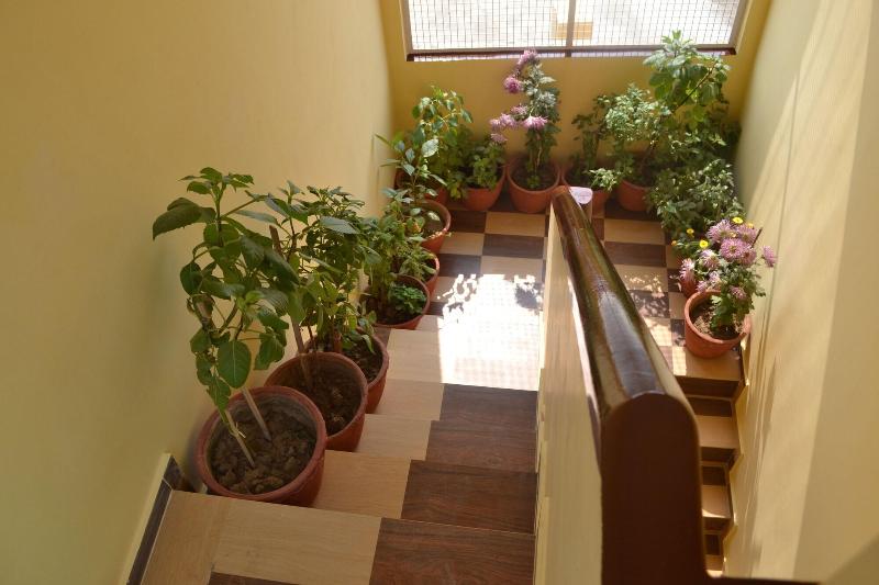 Photo of Tara Guest House, 3-star hotel in Varanasi