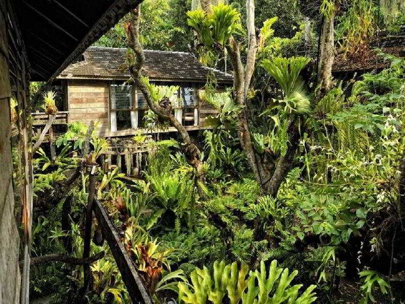 Fern Paradise, Singapore