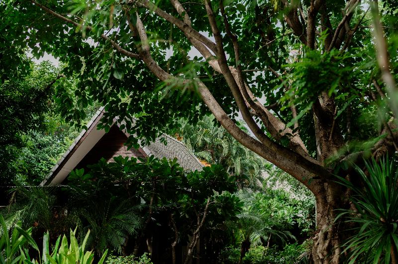 Photo of Tolani Southgate Villa Chiang Mai, 5-star hotel in Chiang Mai