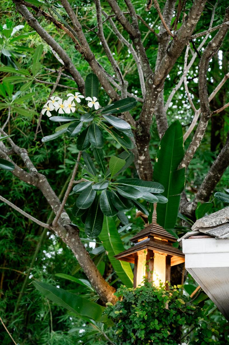 Photo of Tolani Southgate Villa Chiang Mai, 5-star hotel in Chiang Mai