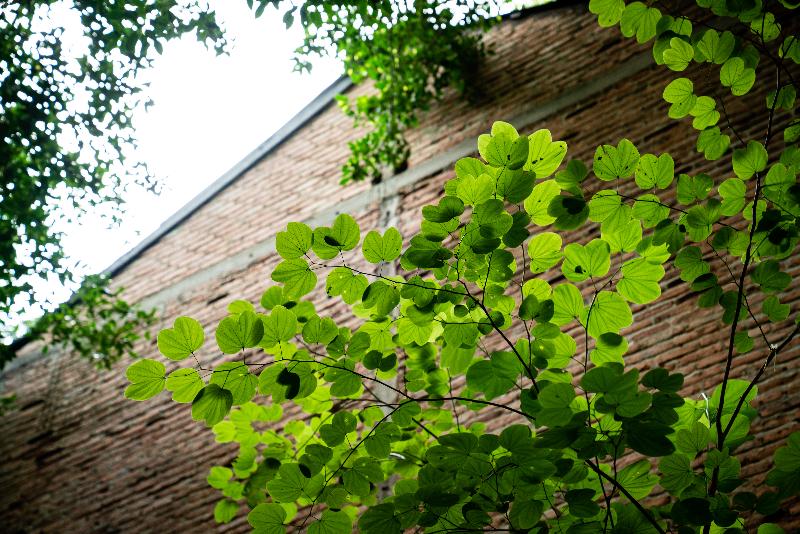 Lanna Lodge Hotel Chiang Mai, 5-star hotel in Chang Moi