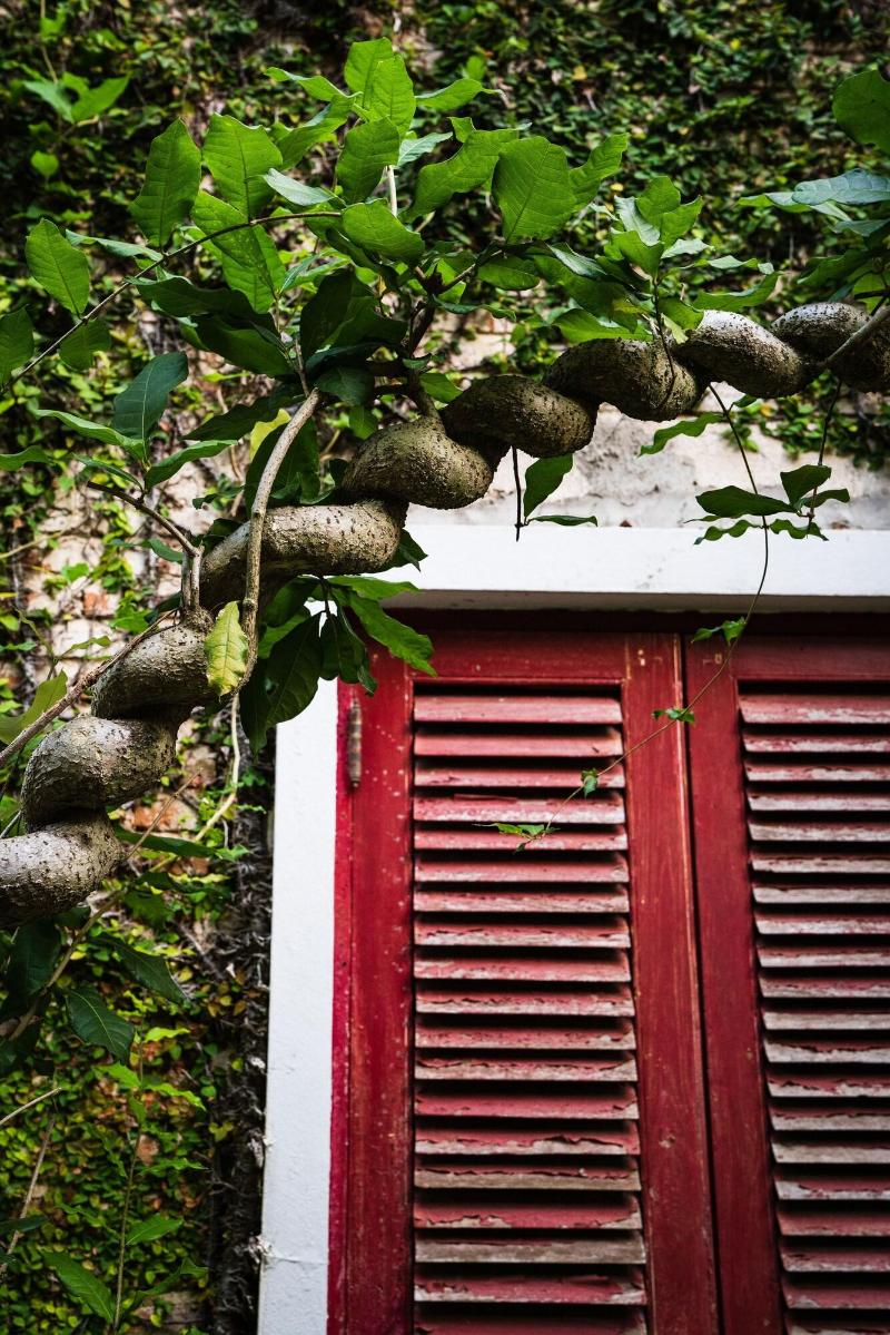 Photo of Lanna Lodge Hotel Chiang Mai, 5-star hotel in Chang Moi