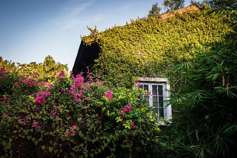 Photo of Lanna Lodge Hotel Chiang Mai, 5-star hotel in Chang Moi