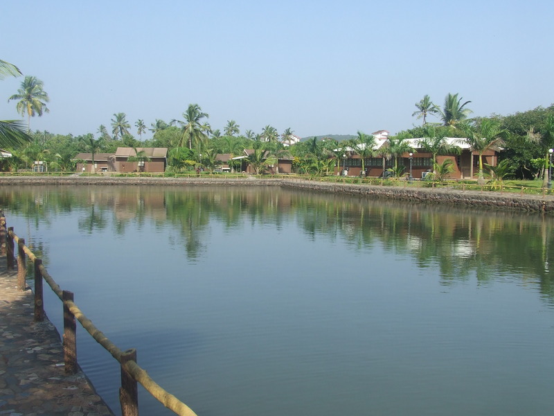Photo of Resort Primo Bom Terra Verde, 3-star hotel in Baga