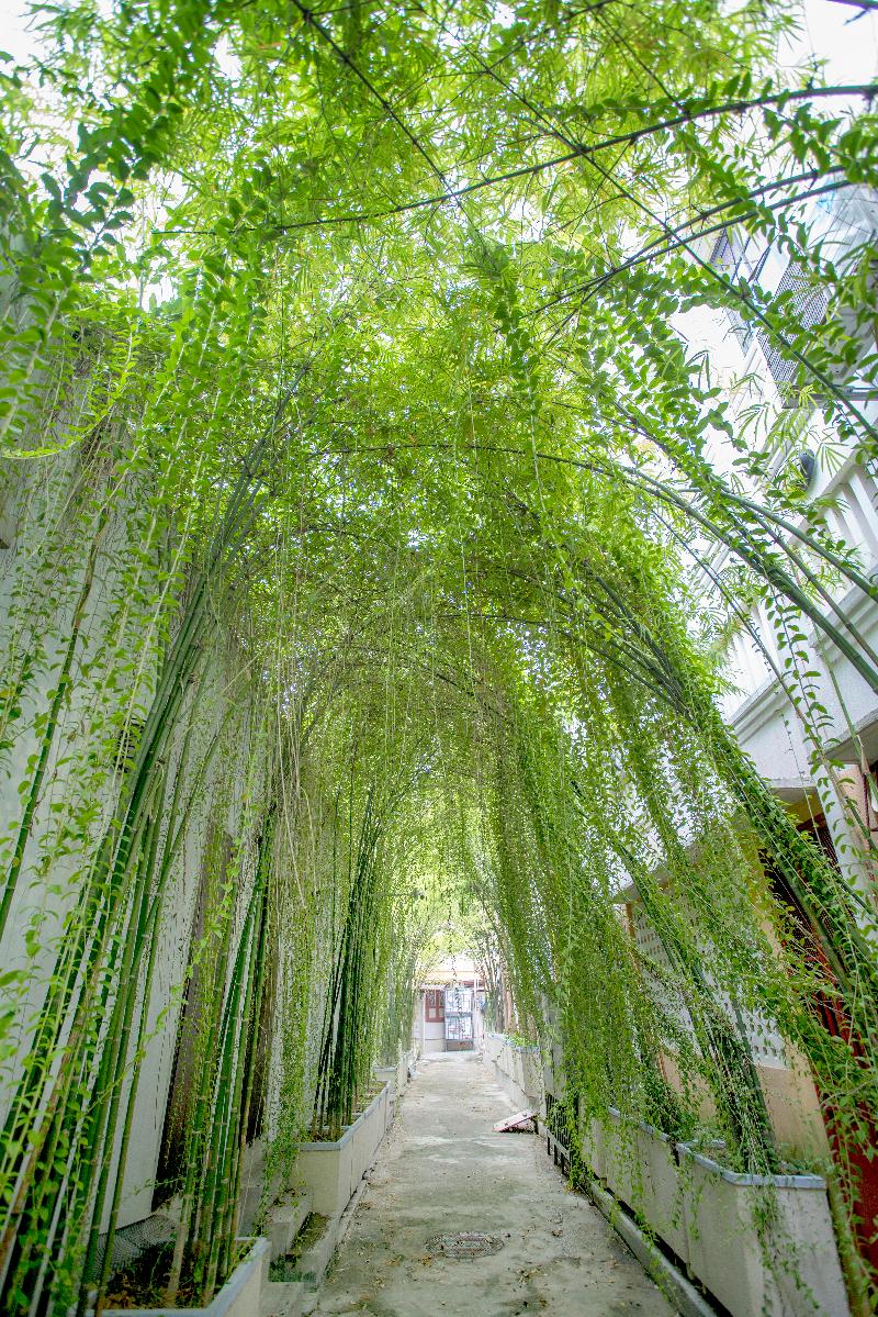 Photo of Areca Hotel Penang, 3-star hotel in George Town