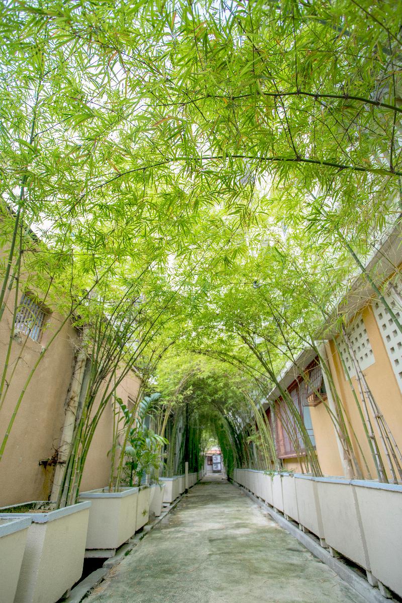 Photo of Areca Hotel Penang, 3-star hotel in George Town