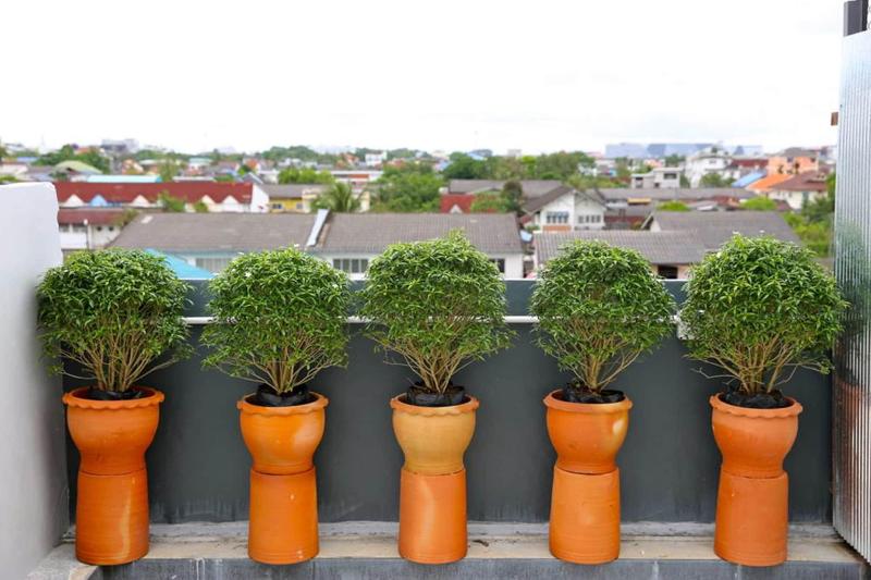 Photo of The Plug Hotel hotel in Nakhon Si Thammarat