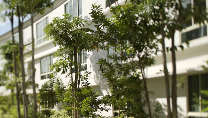 Amara Sanctuary Resort Sentosa