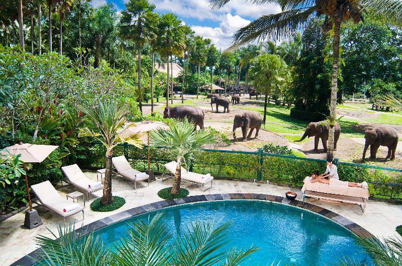 Mason Elephant Lodge, Singapore