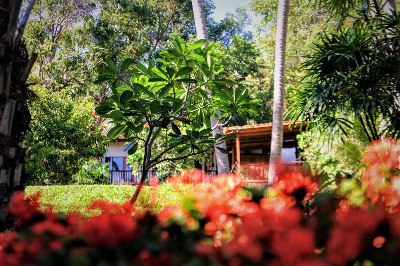 Photo of Alpha Gay Resort & Spa - Men Only, 3-star hotel in Koh Samui