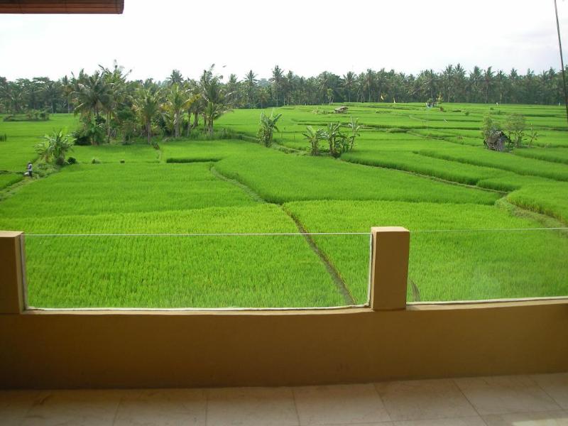 Green Field Hotel Ubud, Singapore
