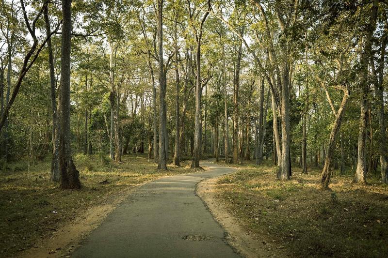 Photo of Sterling Wayanad, 3-star hotel in Sulthan Bathery
