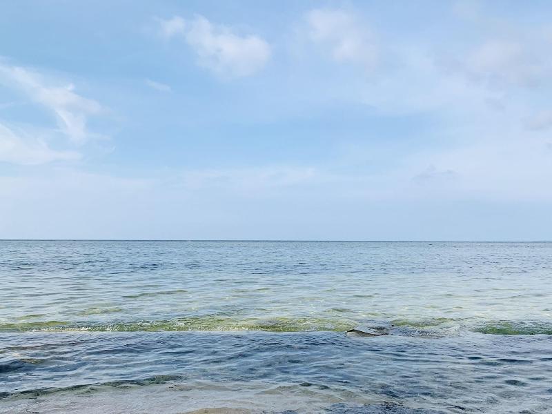 Photo of Villa Soledad Beach Resort hotel in Bolinao