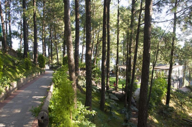 Kasauli Hills Resort, 3-star hotel in Kasauli