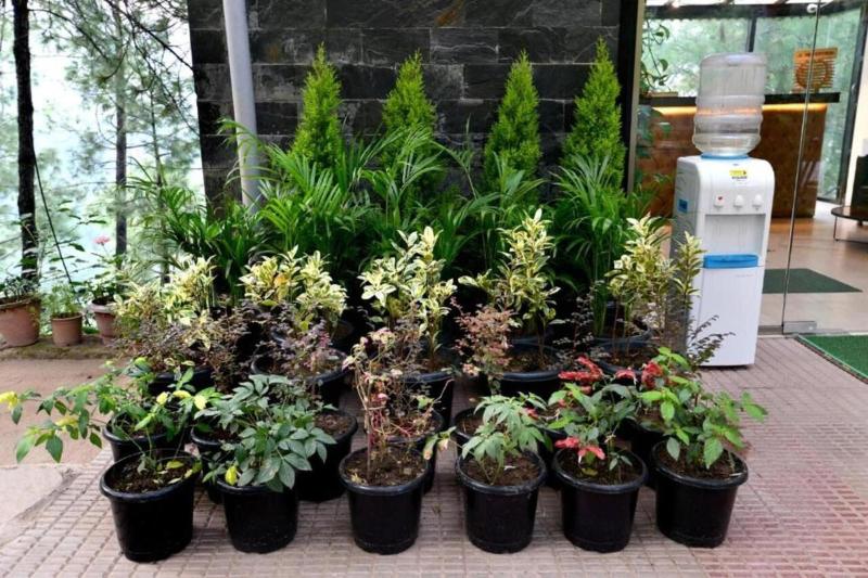 Photo of Kasauli Hills Resort, 3-star hotel in Kasauli