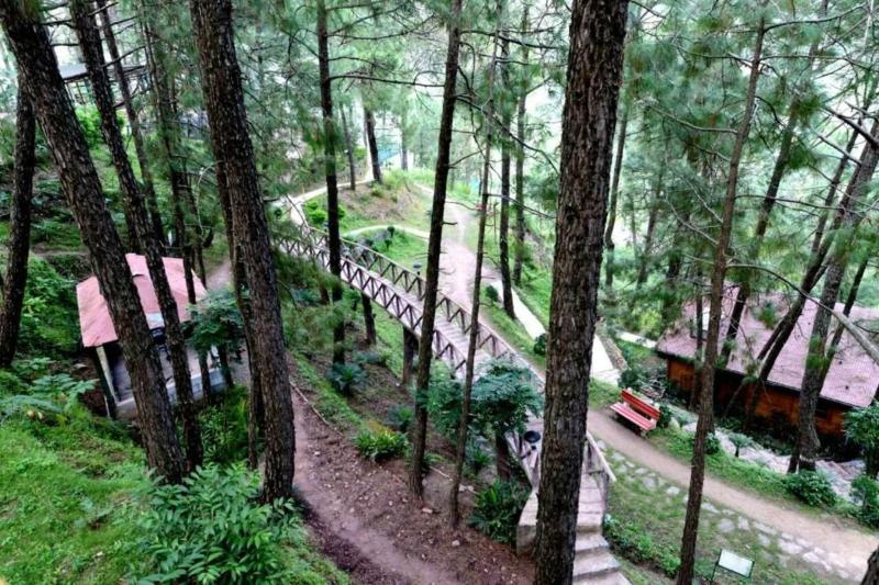 Photo of Kasauli Hills Resort, 3-star hotel in Kasauli