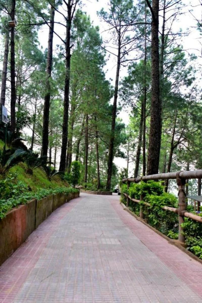 Photo of Kasauli Hills Resort, 3-star hotel in Kasauli