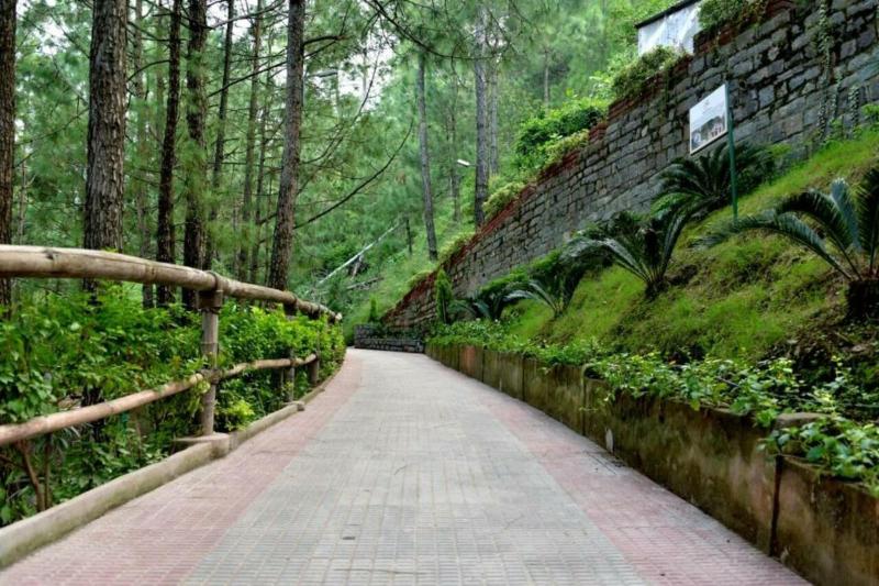 Photo of Kasauli Hills Resort, 3-star hotel in Kasauli
