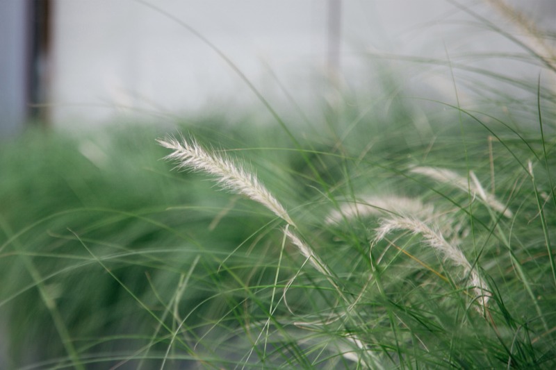 Photo of Clef Hotel, 3-star hotel in Ban Khlong Samrong