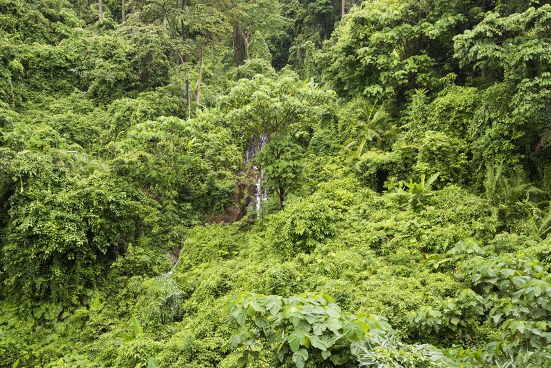 Photo of SYLVAN Koh Chang, 5-star hotel in Ko Chang