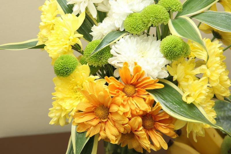 Photo of Riverview Resort & Conference Center, 3-star hotel in Calamba