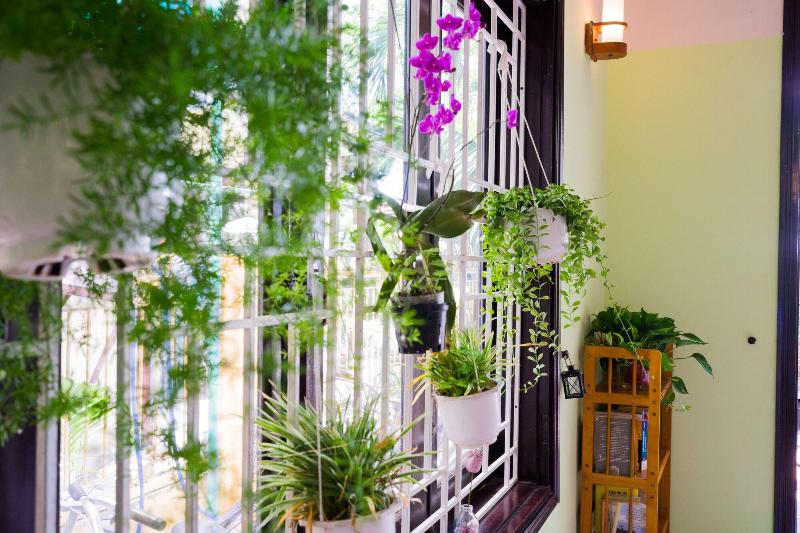 An Hien Homestay Hoi An, Singapore