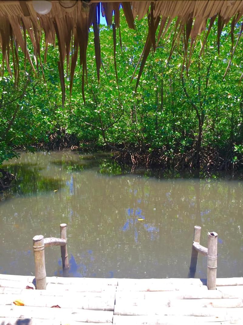 Photo of Grande Vista Hotel hotel in Palawan (province)
